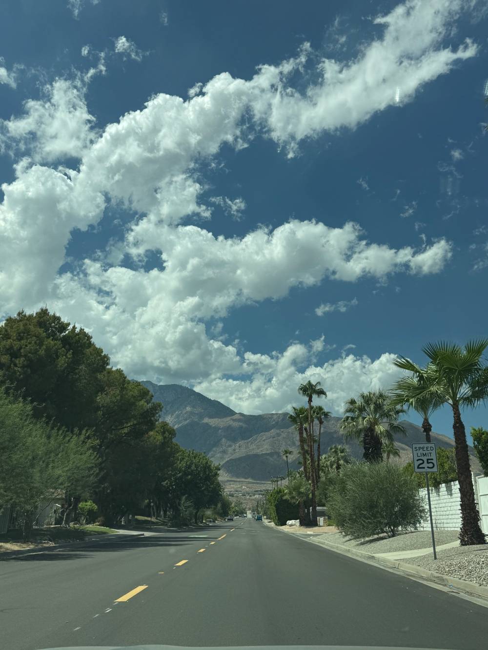 Palm Springs 2025