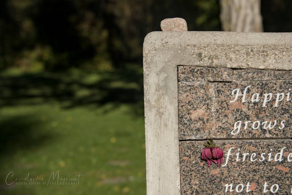 Kings Park, Winnipeg, Canada, September 2026