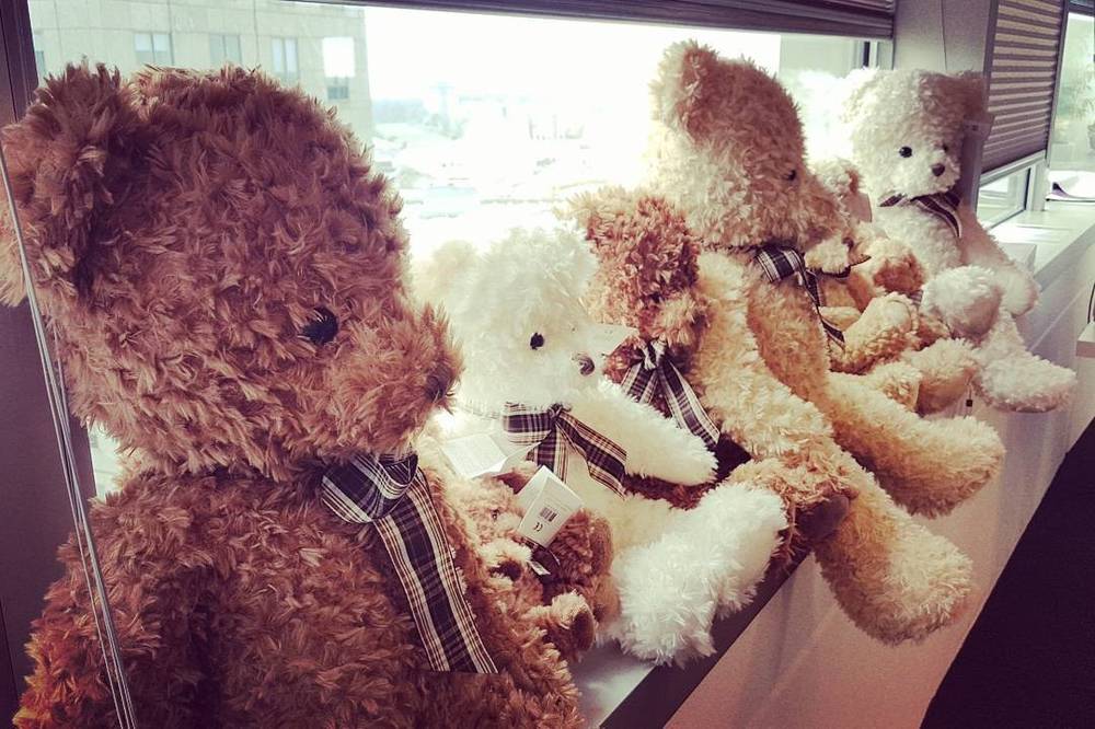 Rows of teddy bears with plaid ribbons displayed on a shelf.