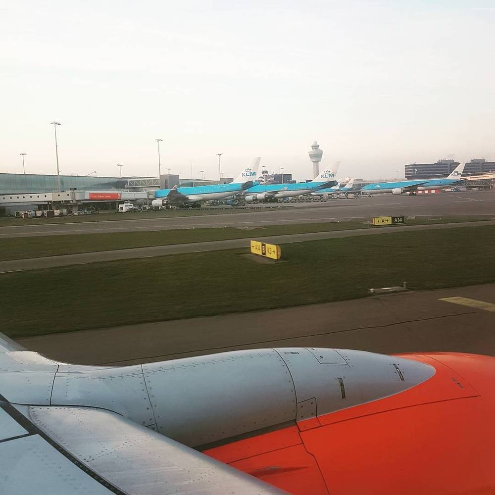 KLM airplanes parked at gates on an airport tarmac.