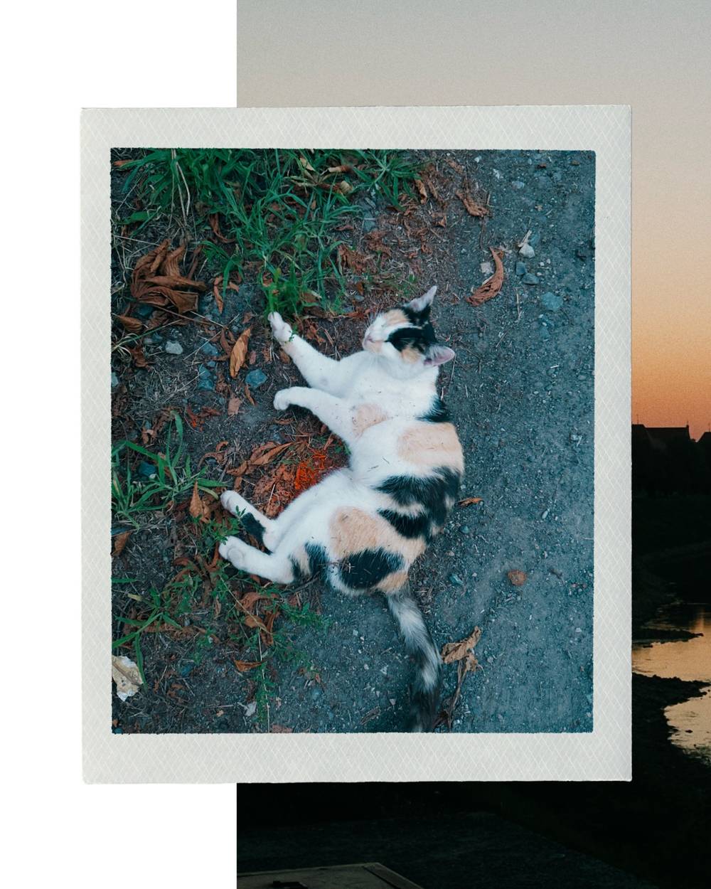 Jul 30, 2026
