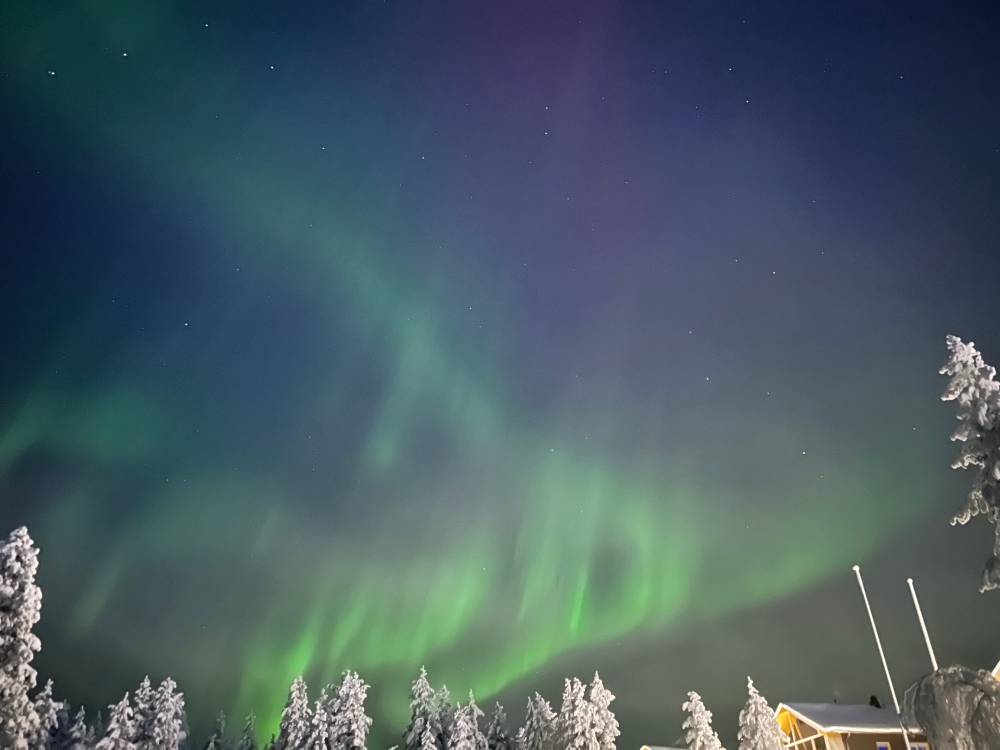 Northern lights over snow-covered tree
