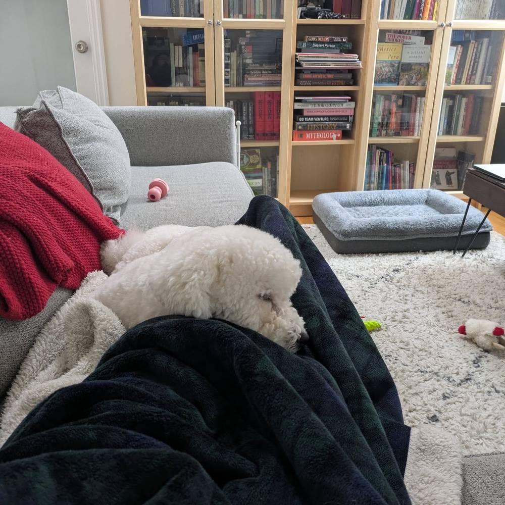 Sleeping on mommy's legs 😴