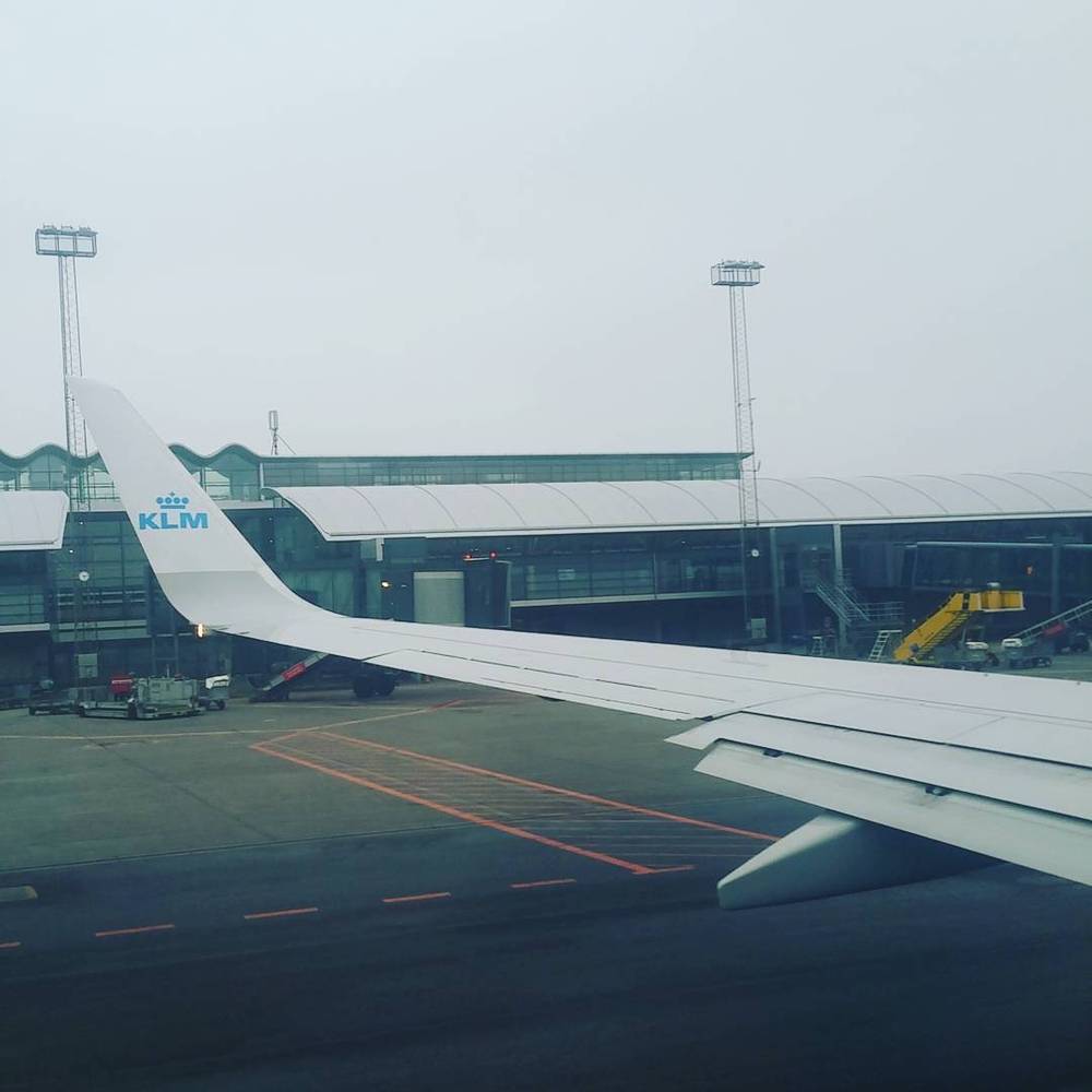 View along a KLM aircraft wing at an airport gate at dusk.