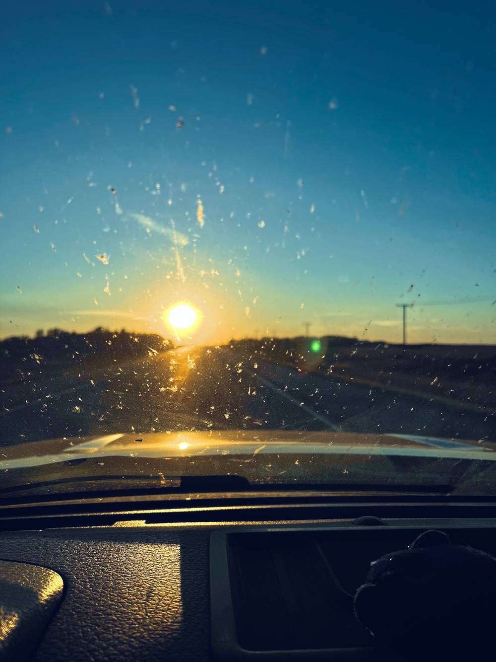 Driving in to the sun