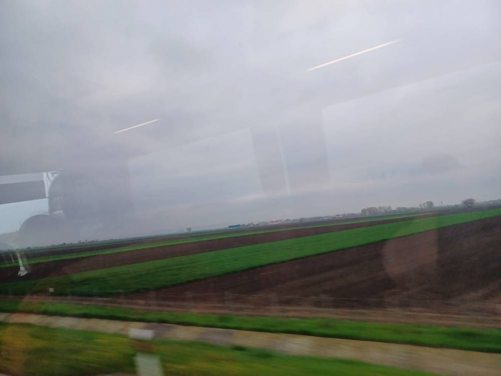 Agricultural fields by the side of the highway.