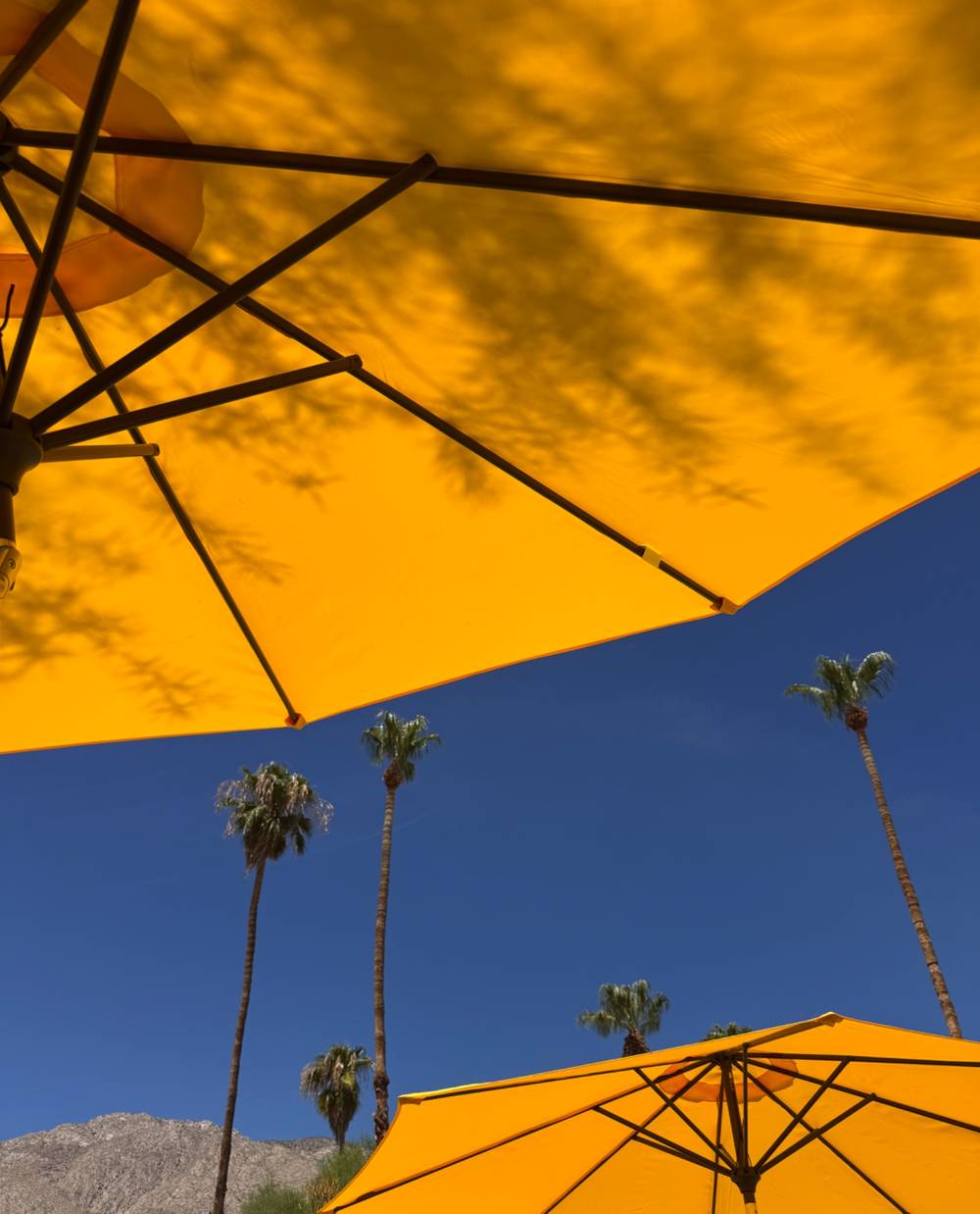 Koffi North - Palm Springs