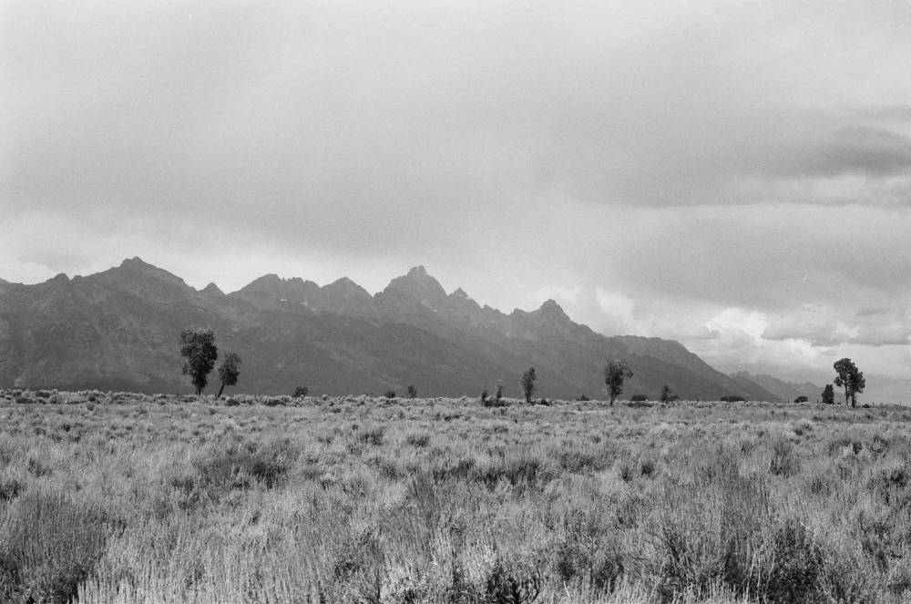 Road Trip - Grand Teton National Park 