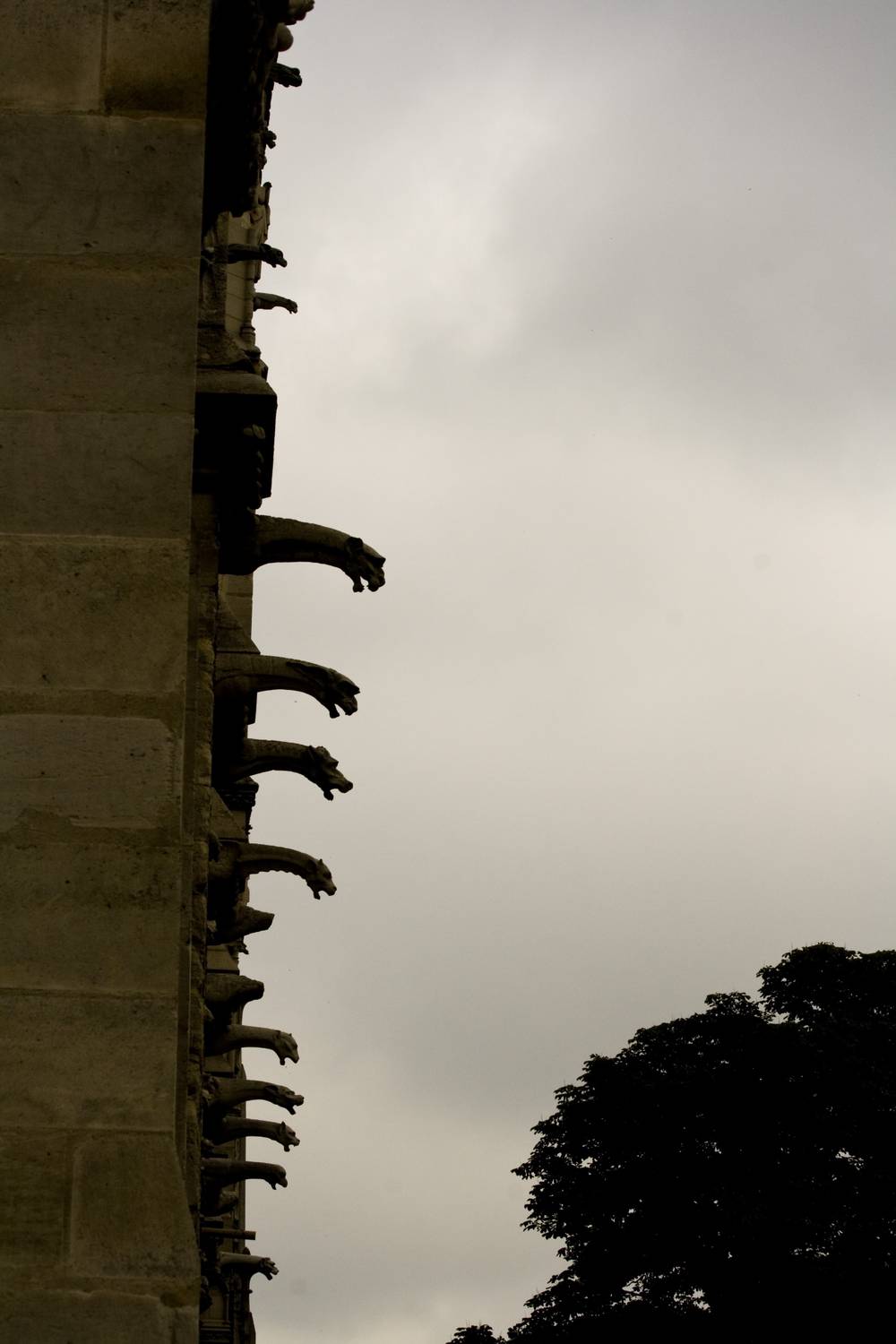 One of Notre-Dame's towers rises against an overcast sky.