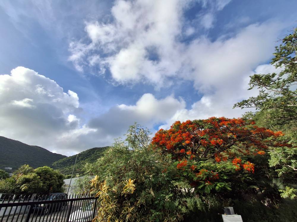 sun shining  in blue skies over Caribbean hilltops. go vegan. 
