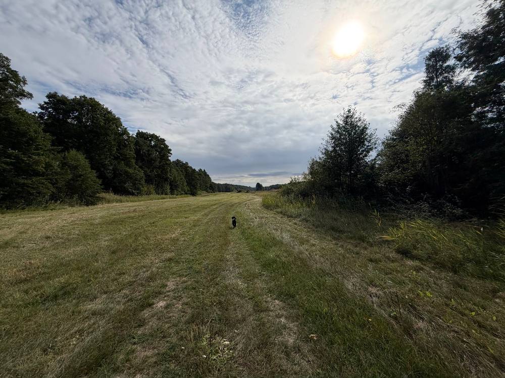 zwischen hangelsberg und fürstenwalde auf dem 66-seen-wanderweg