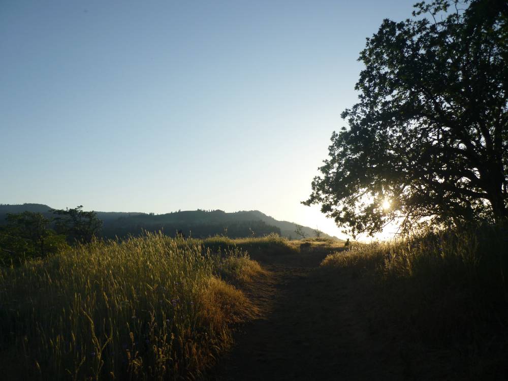 mosier plateau