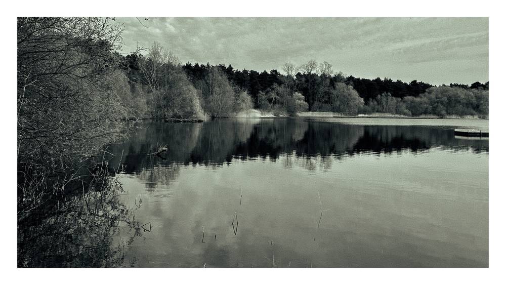 Lackford Lakes, Suffolk