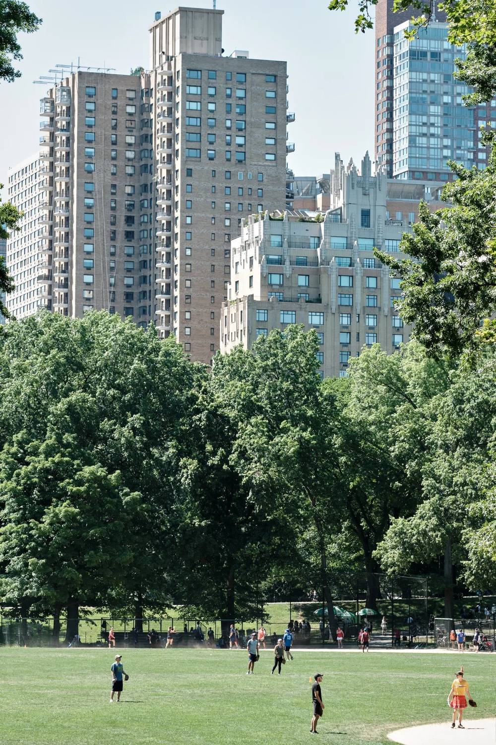 Urban Oasis: Central Park's Great Lawn