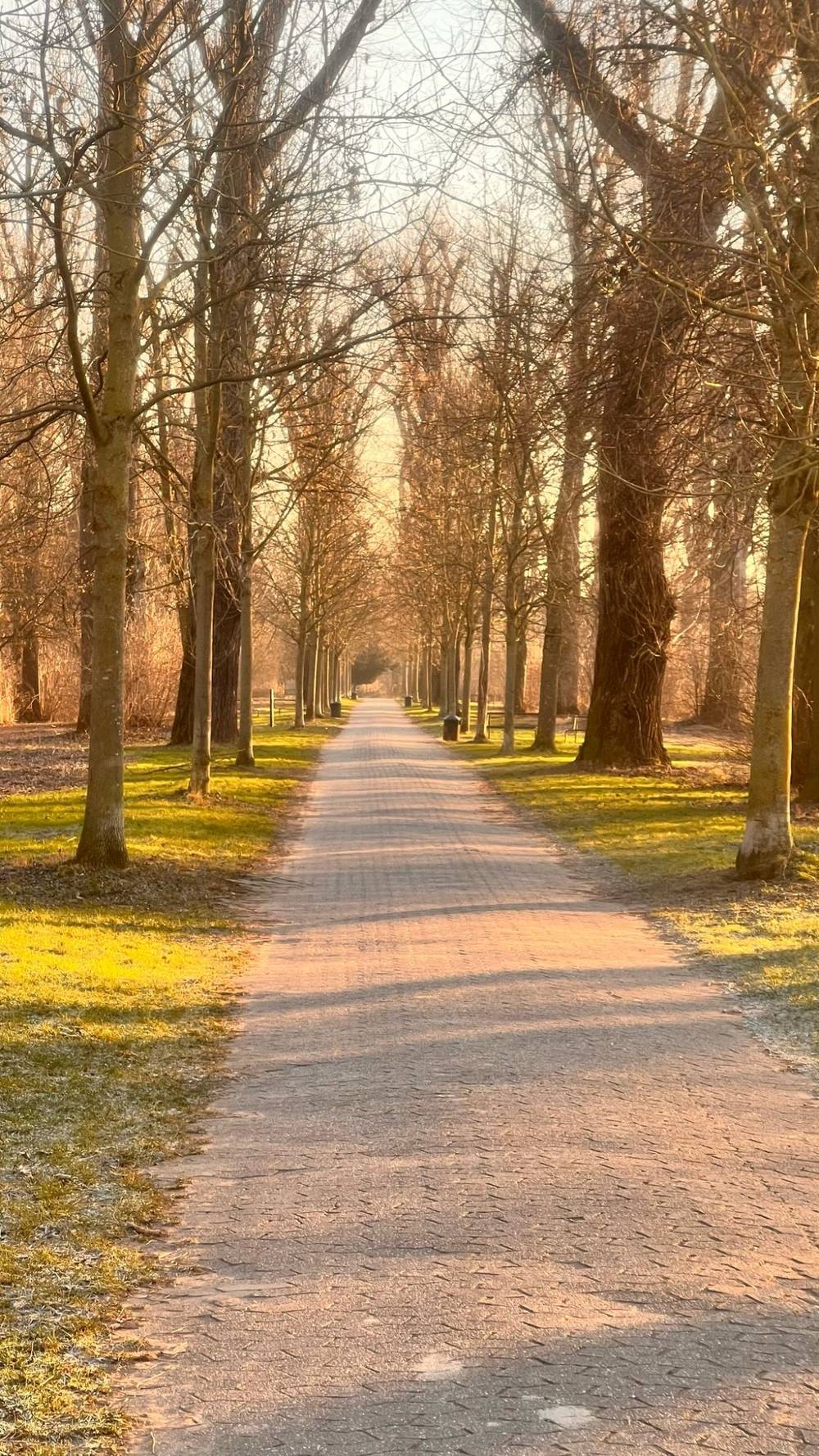 early morning walks