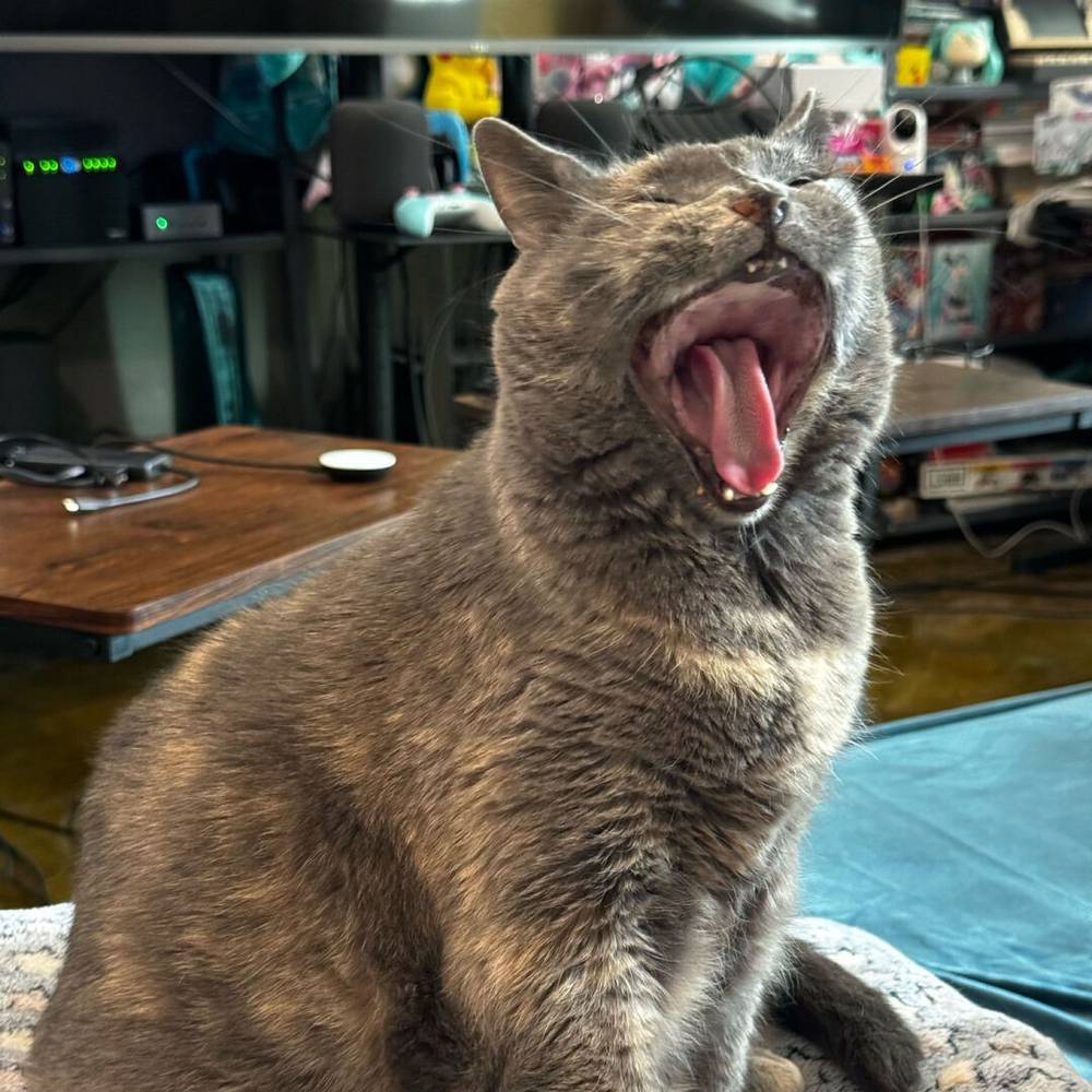 i’m mad, time to go online!