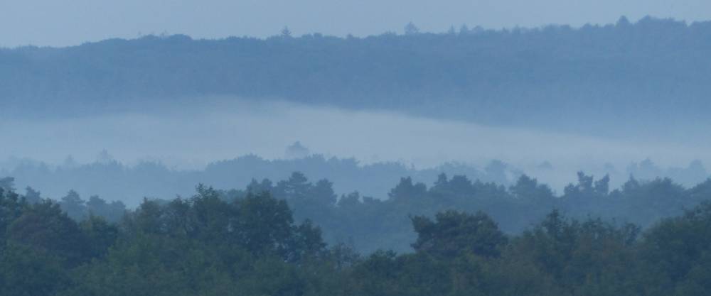 Foggy at the airport Cologne/Bonn