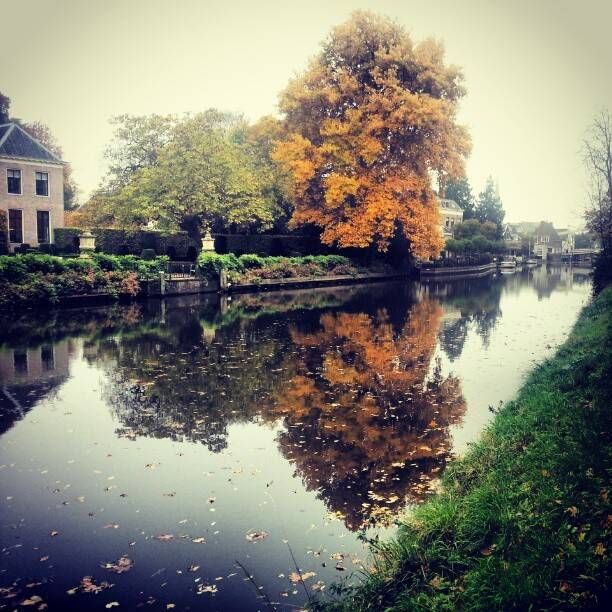 Autumn trees with orange foliage reflected in a calm canal beside a historic building.