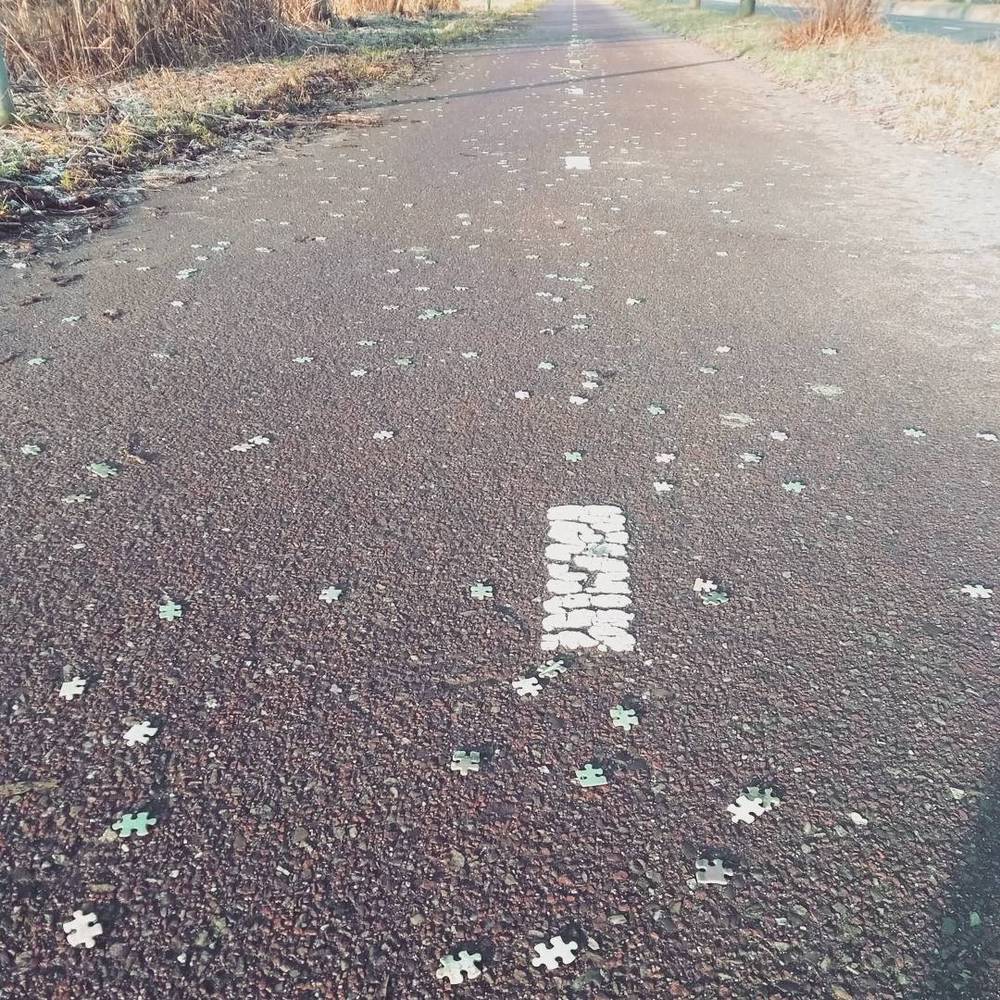 Scattered jigsaw puzzle pieces on a paved road.