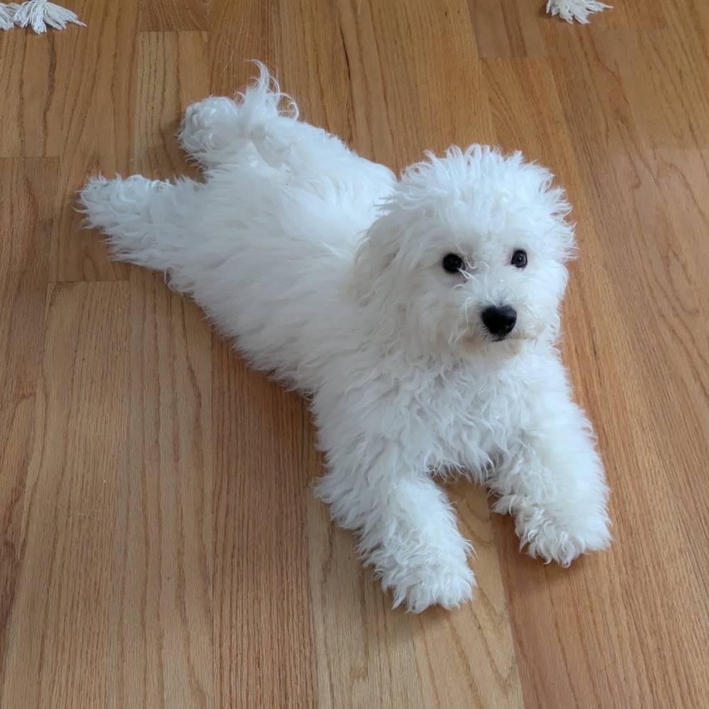 Sunday sploots 😛, photo 1 of 1