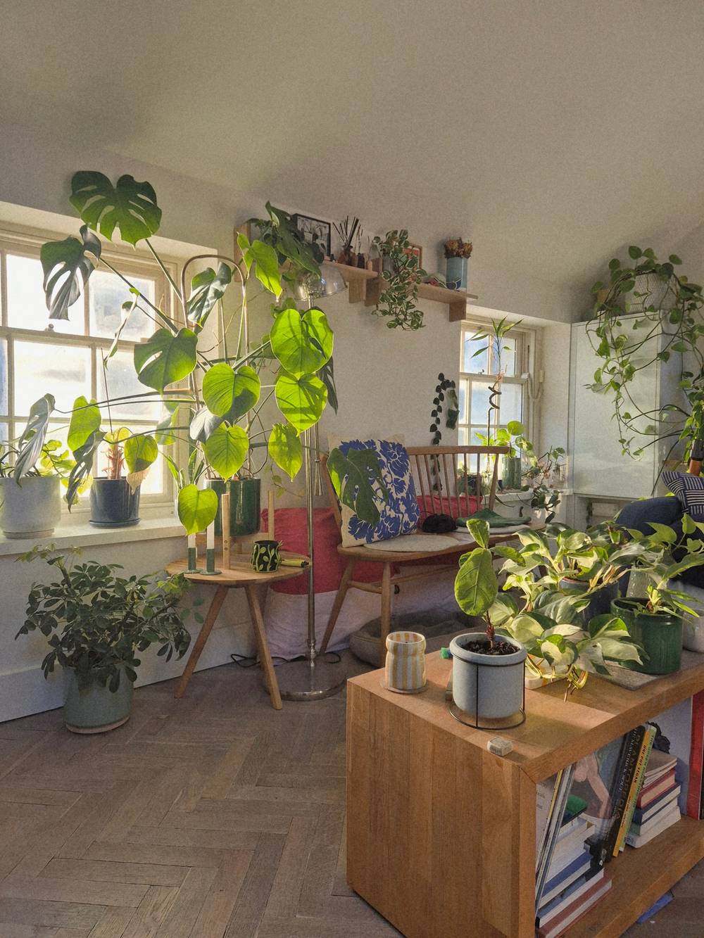 Morning Light