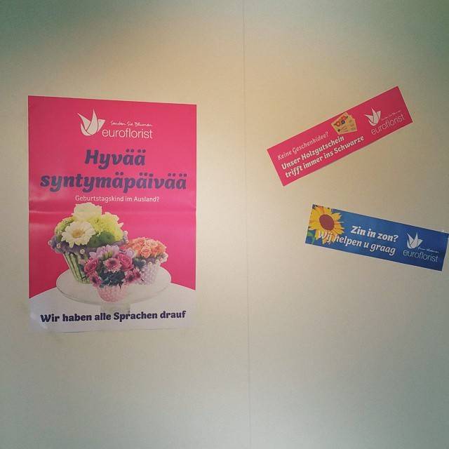 Euroflorist promotional posters and stickers with multilingual birthday messages on an office wall.