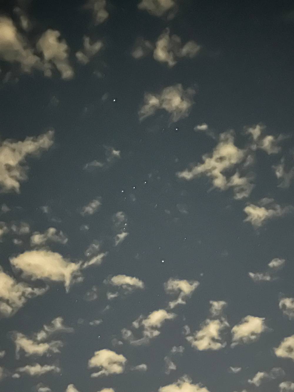 Orion