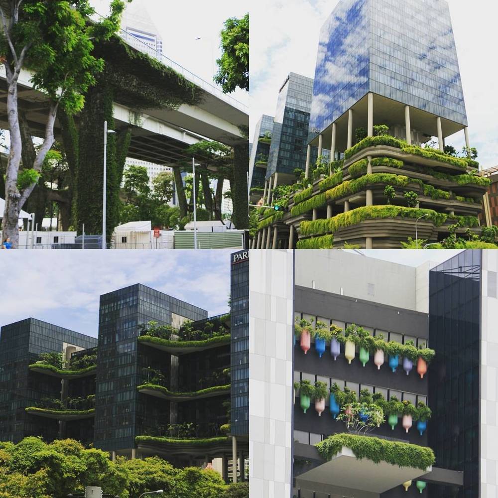 Collage of green, plant-covered modern buildings in Singapore.