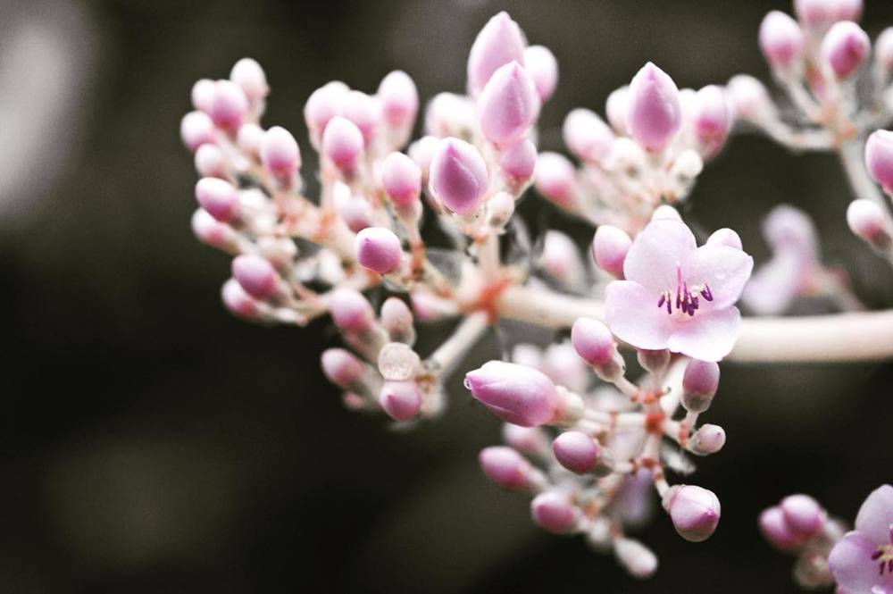 Spring is coming...