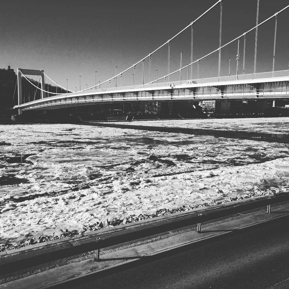 Jan 9, 2017, photo 1 of 1