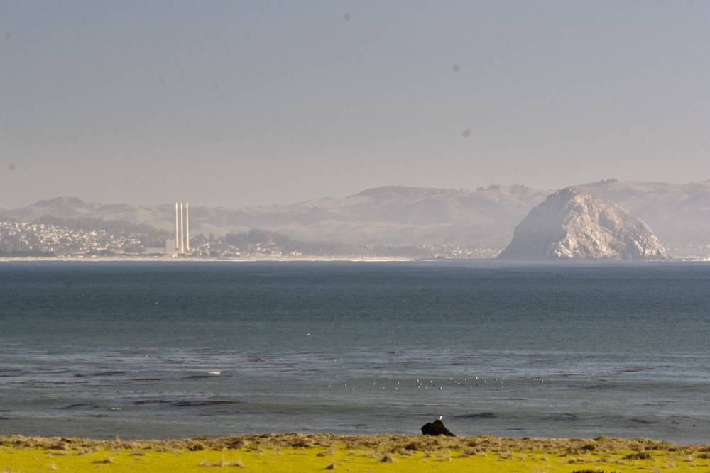 A hazy coastal view shows a distant town and Morro Rock rising from the bay.