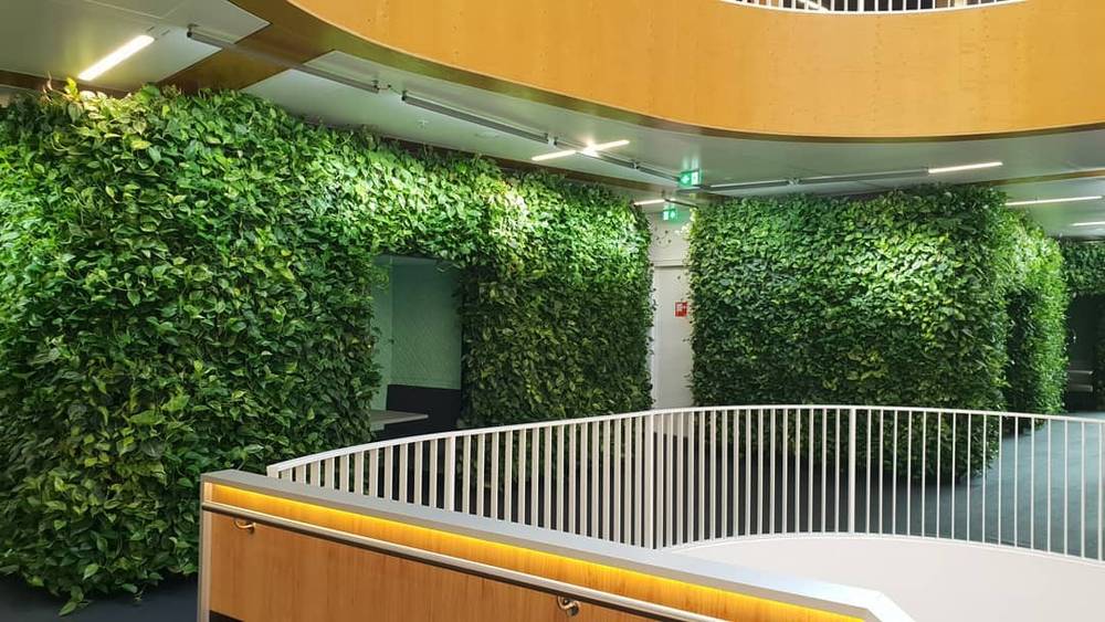 A curved balcony railing lined with a living green wall inside an office building.
