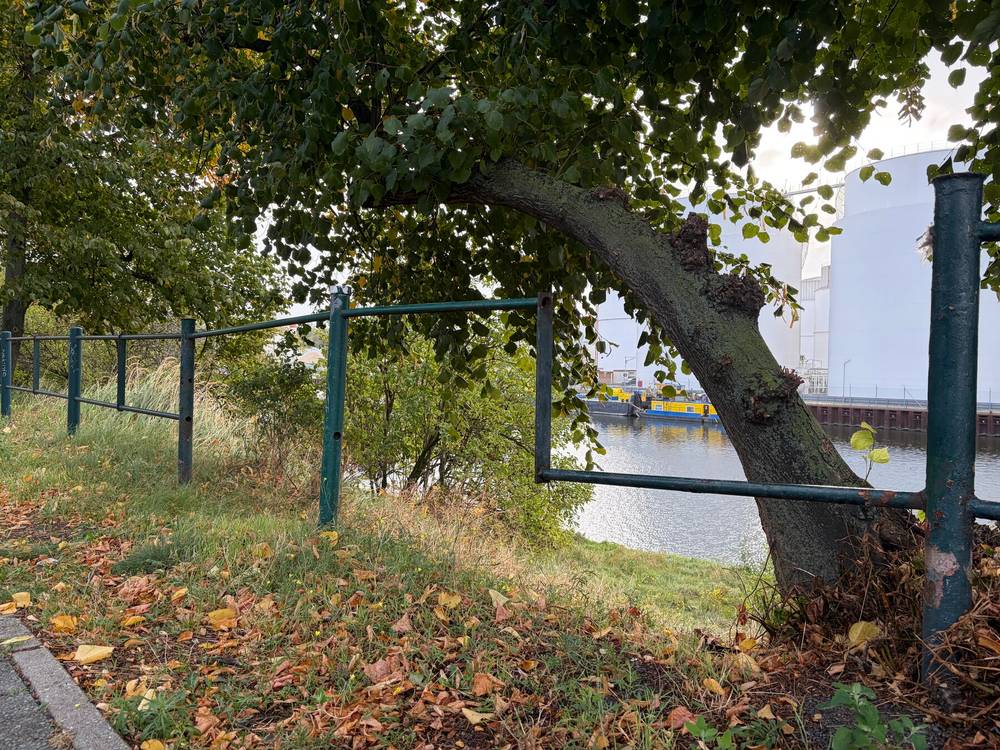 vom rost dekonstruierter metallzaun, zwischen dem wedding und der beusselstrasse, dem ein paar stürtzen und streben fehlen, der aber trotzdem stabil steht.