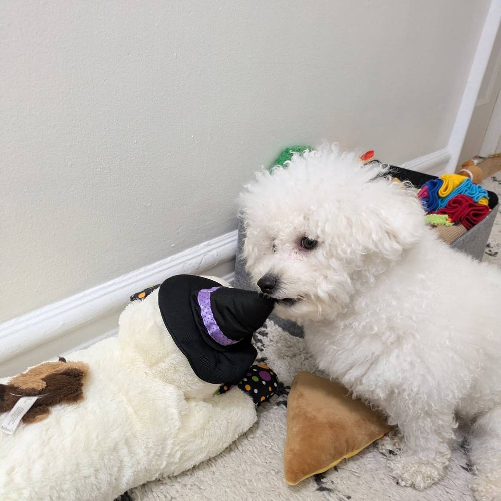 Having a little nibble during playtime 🫣