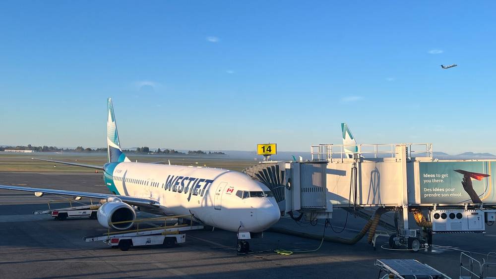 Lovely day for a flight to Toronto for @protocolsforpublishers.com this week! We have the PfP ✨ Sh