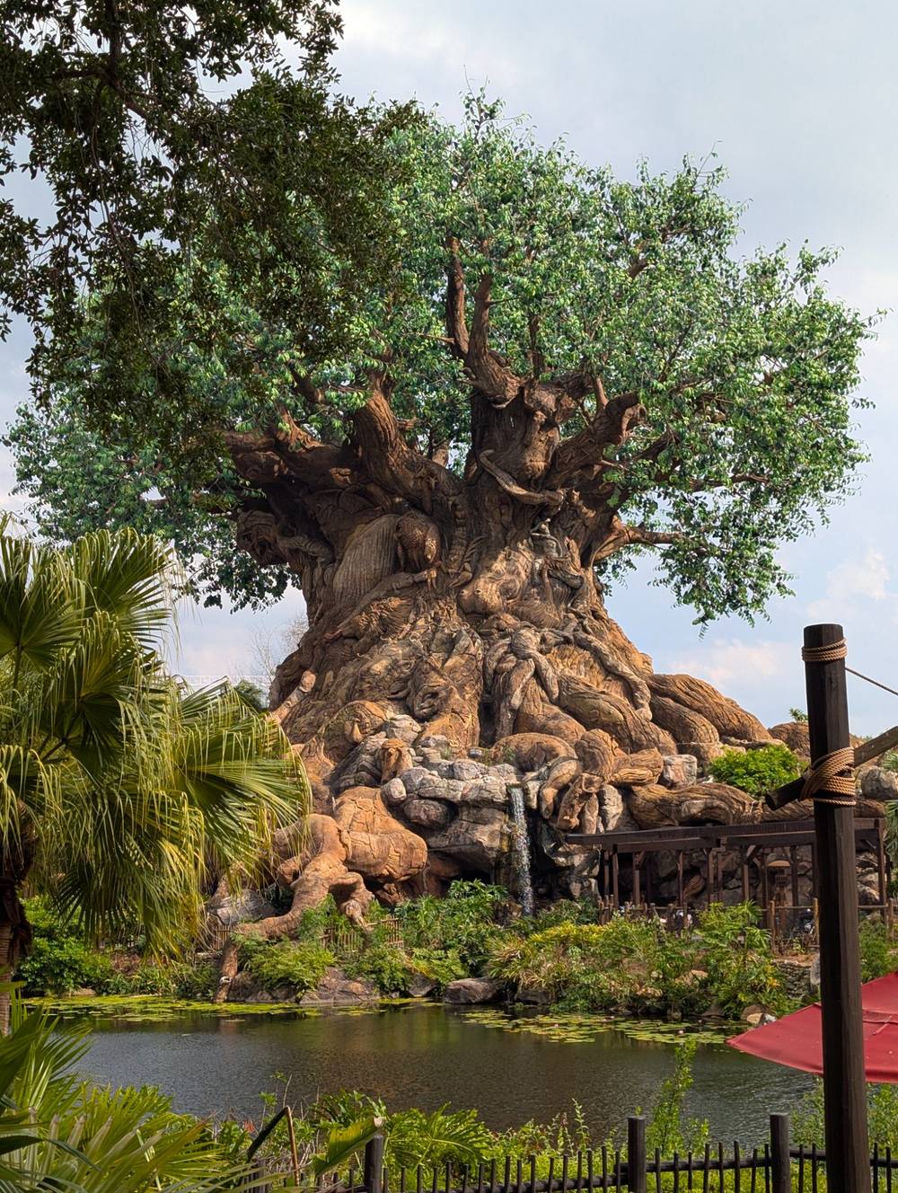 Disney's Animal Kingdom, Tree of Life