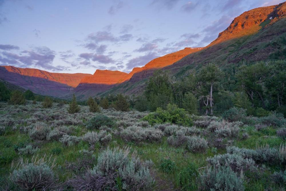Steens