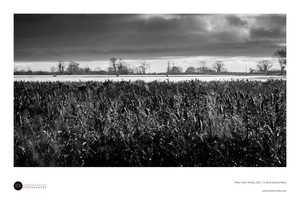 This is one I missed in processing from last year: Winter Field, Norfolk, 2025