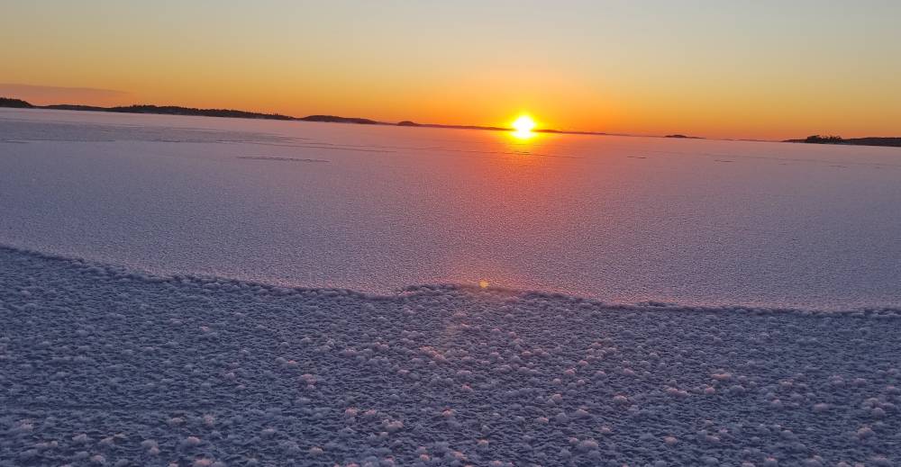 Ice flowers on the Baltic, 2026-02-21