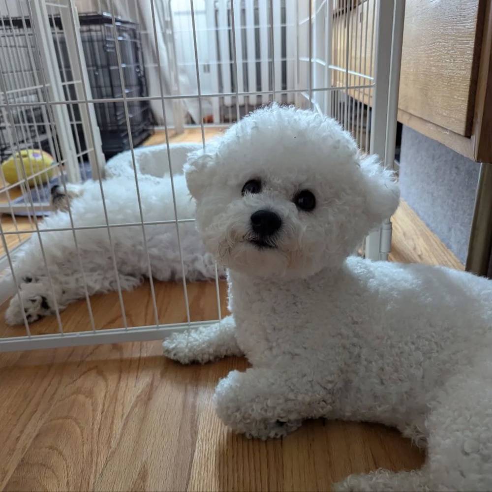 Guarding my little brother while he naps 🥰, photo 1 of 1