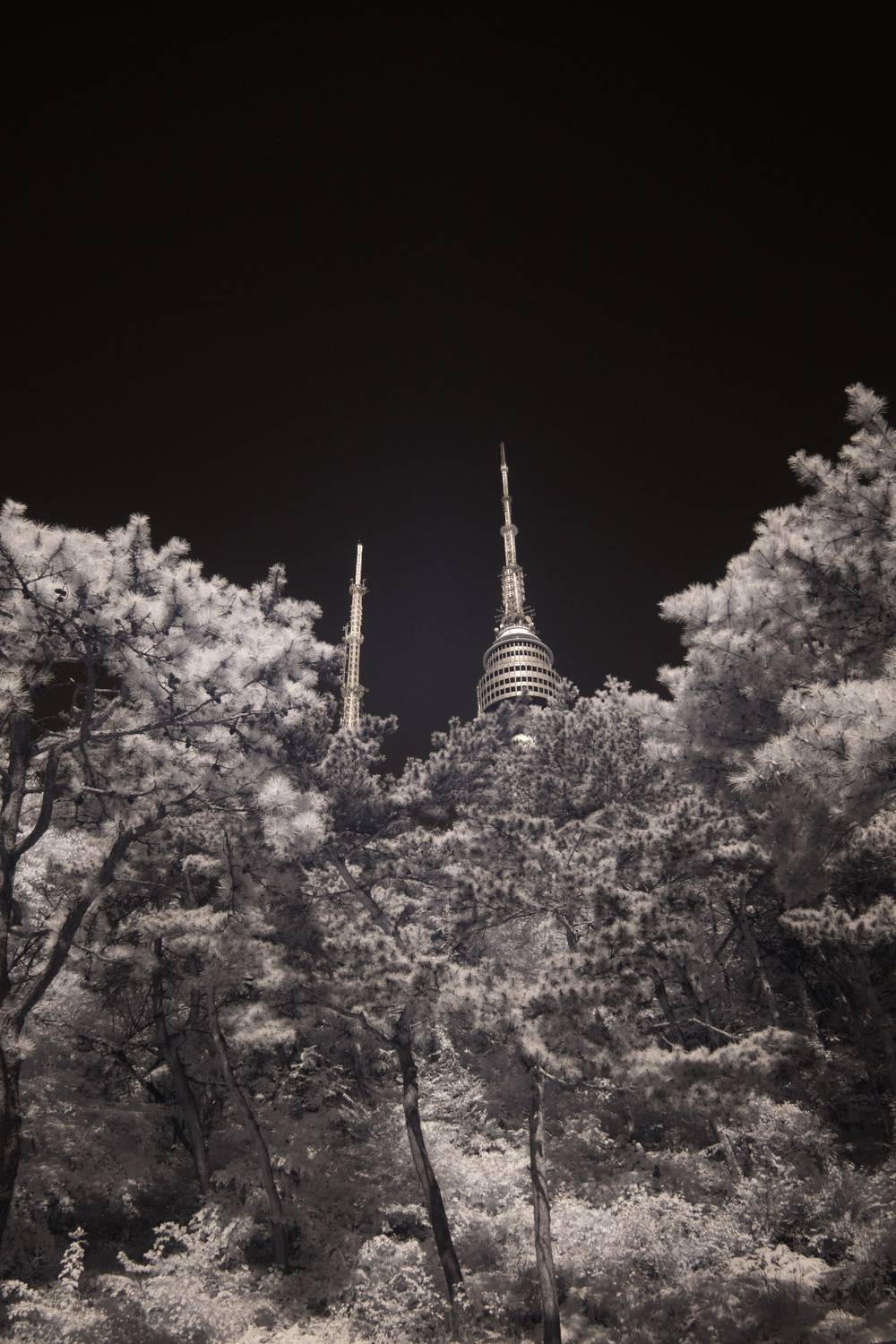 The peak of Namsam Tower rises above the forest line into a deep clear sky, in black and white