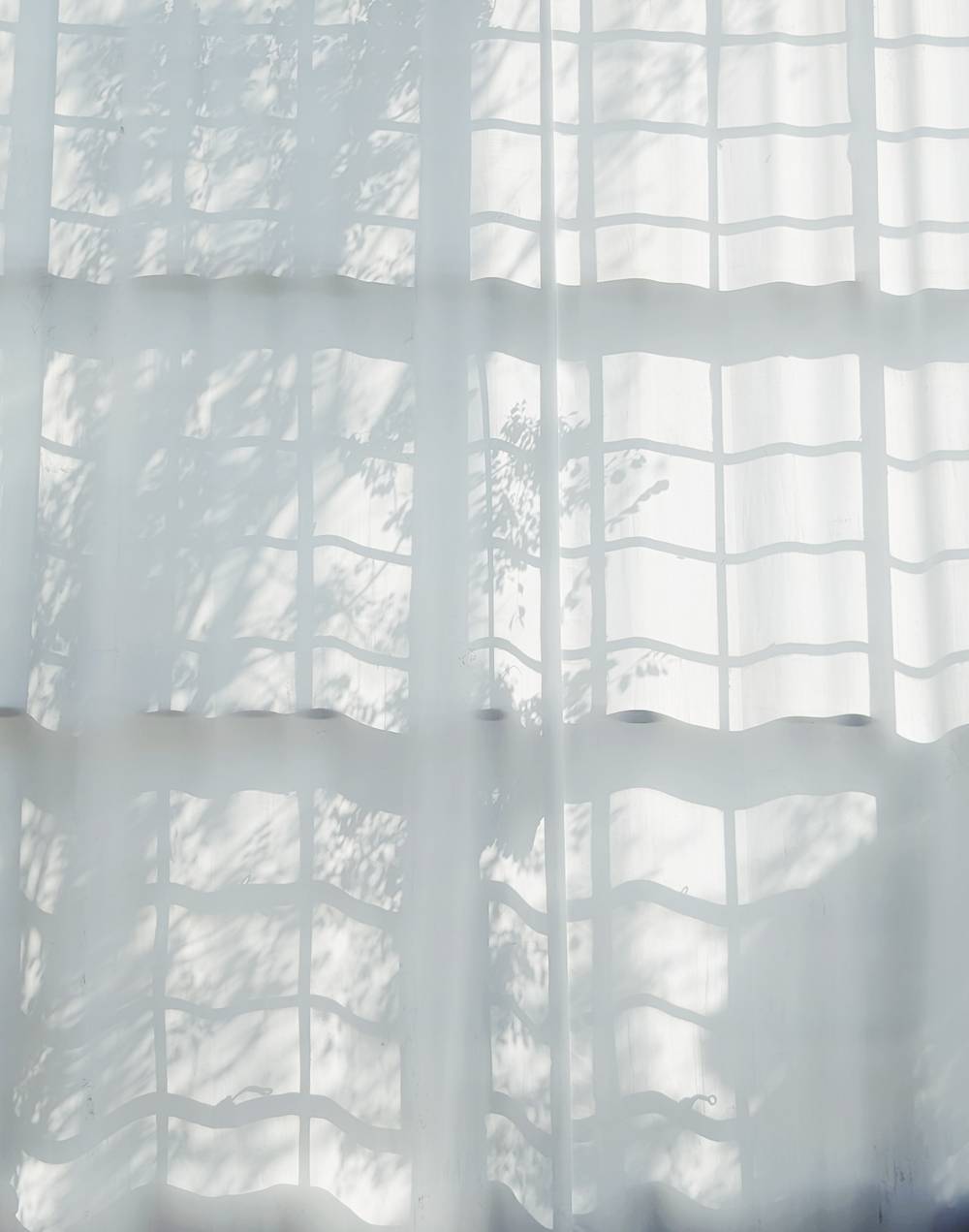 shadows on the studio window