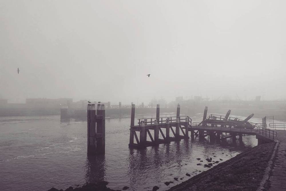 A foggy harbor scene in black and white, showing a wooden pier and mooring posts.