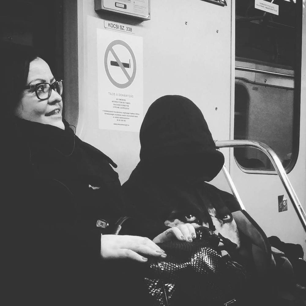 Dec 12, 2016, photo 1 of 1