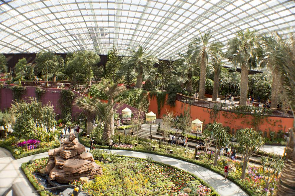 The Flower Dome's central garden, with palm trees, flowerbeds and a rock waterfall feature.