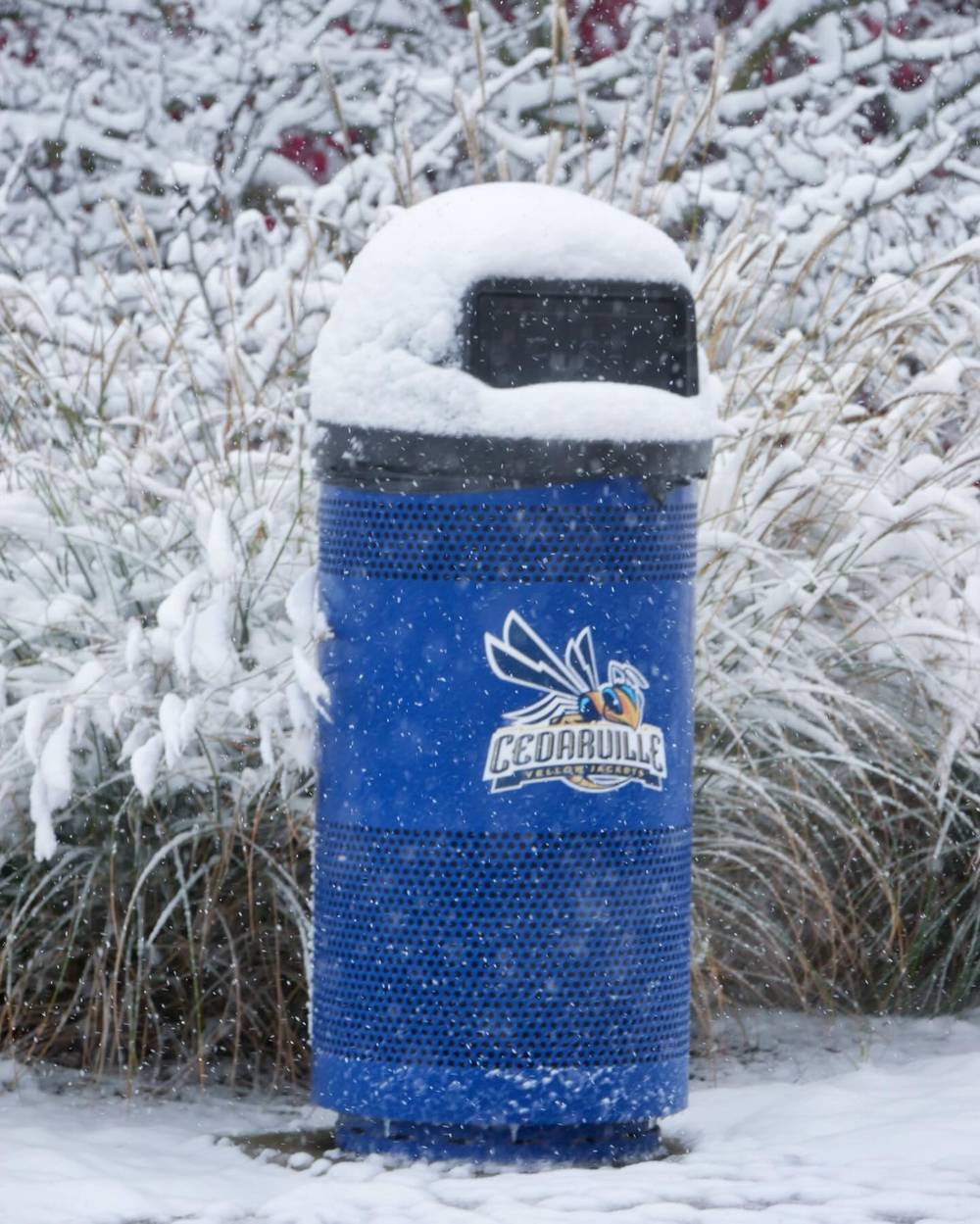 Nov 10, 2025