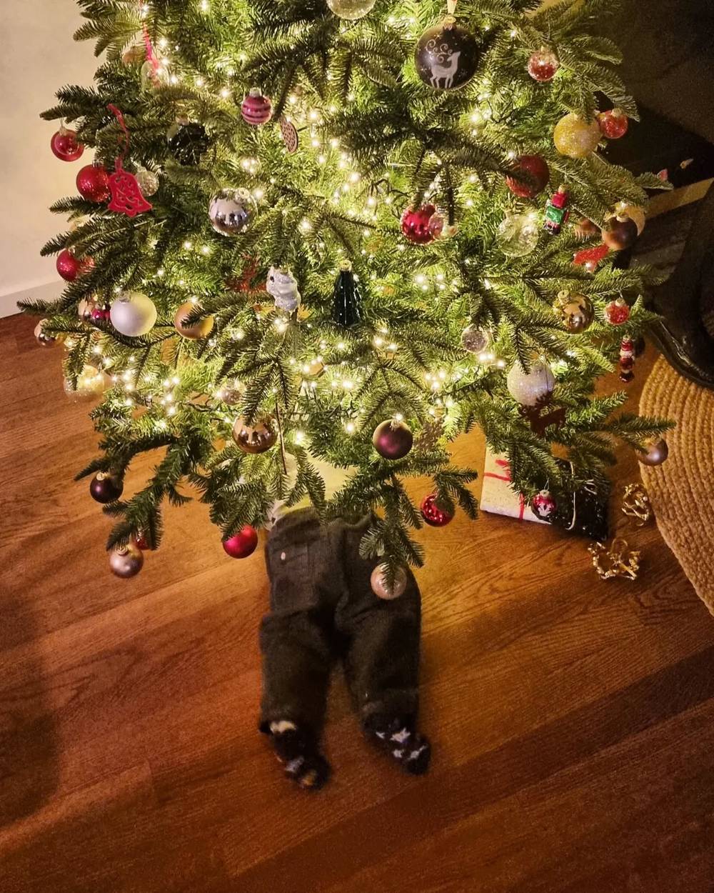 A close-up of a lit Christmas tree decorated with ornaments and a small pair of dangling decorative legs.