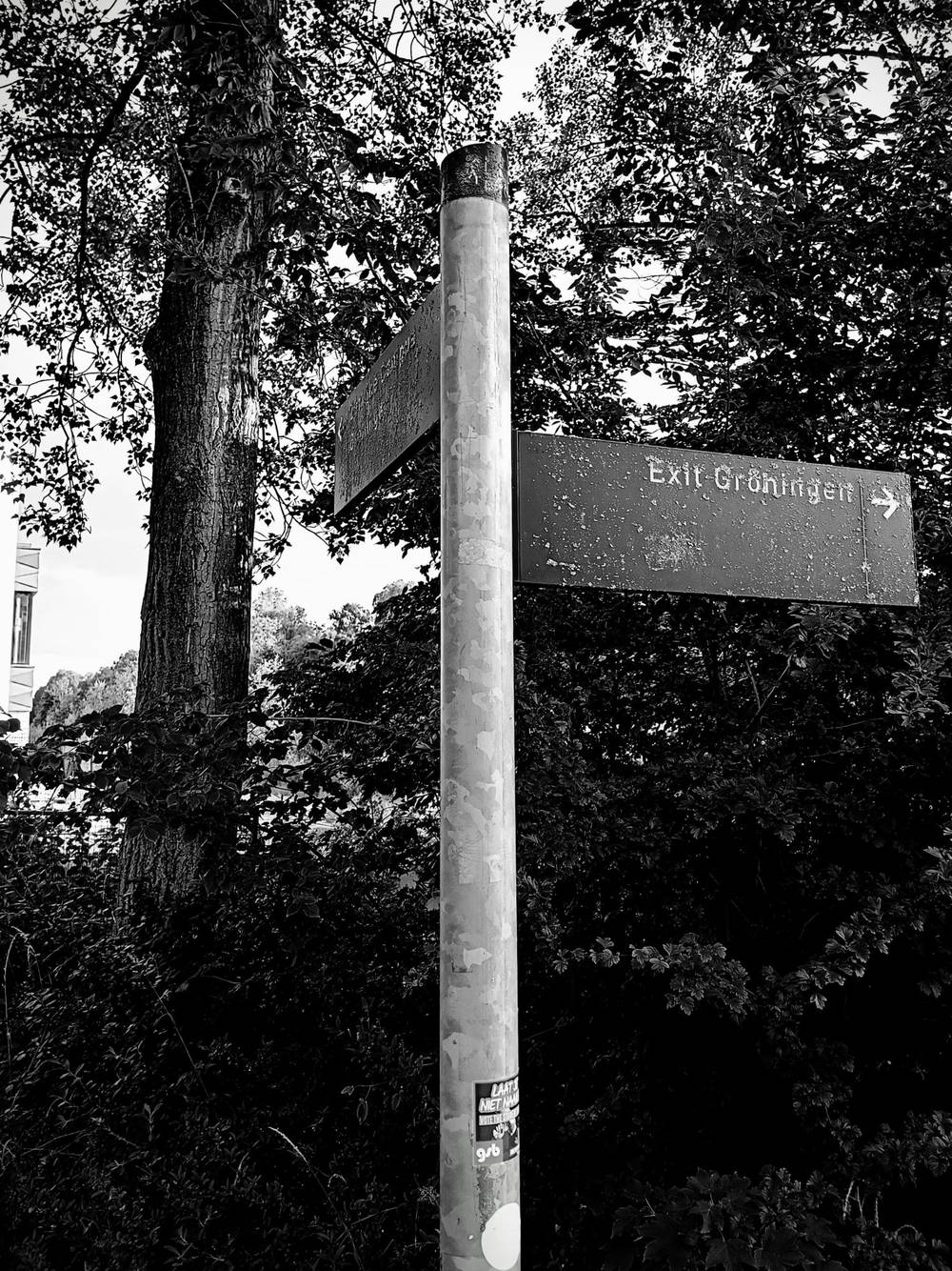 Morning foot bike tour of North Groningen