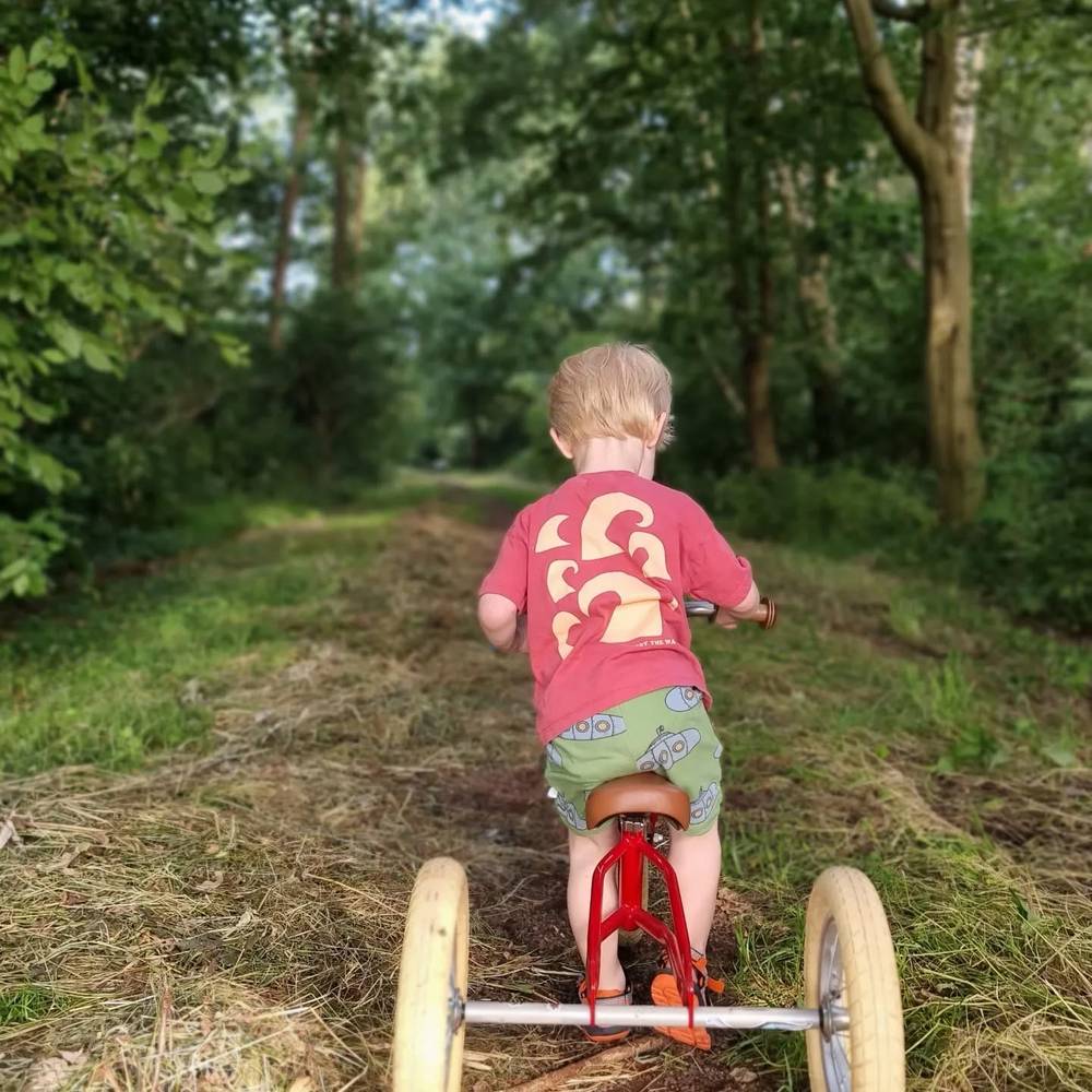 A toddler riding a red tricycle down a shaded wooded path.