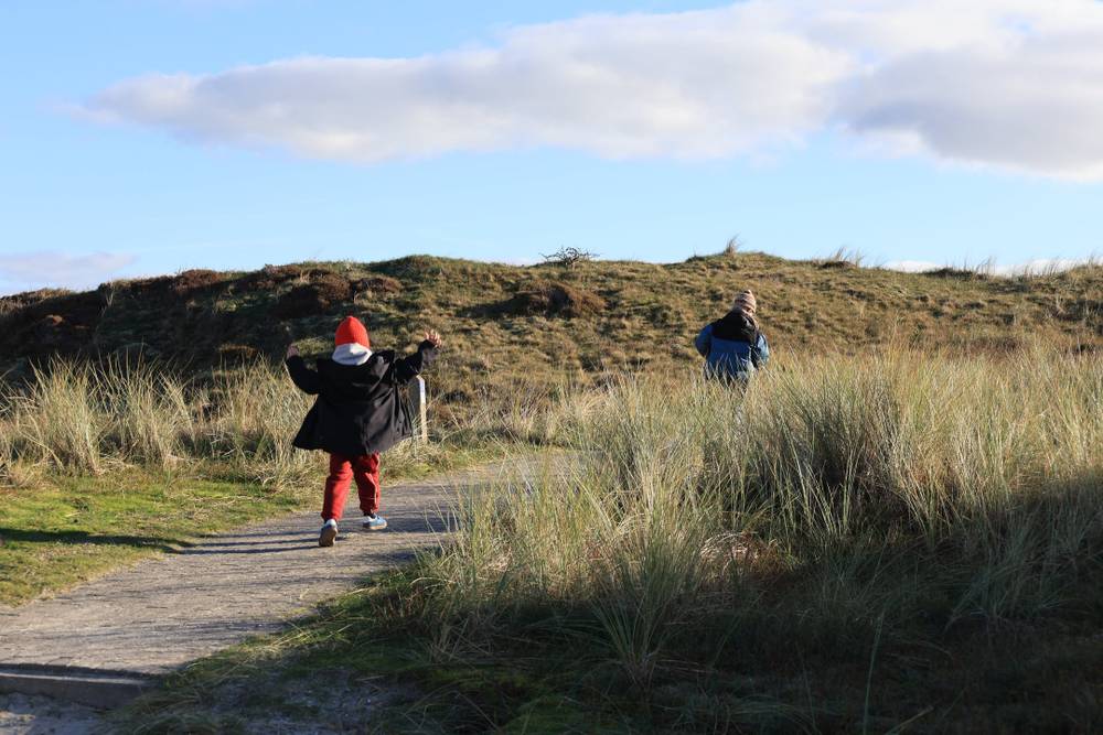 Texel